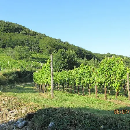 Arkade Turizem Crnice