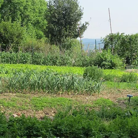 Farm stay Arkade Turizem *